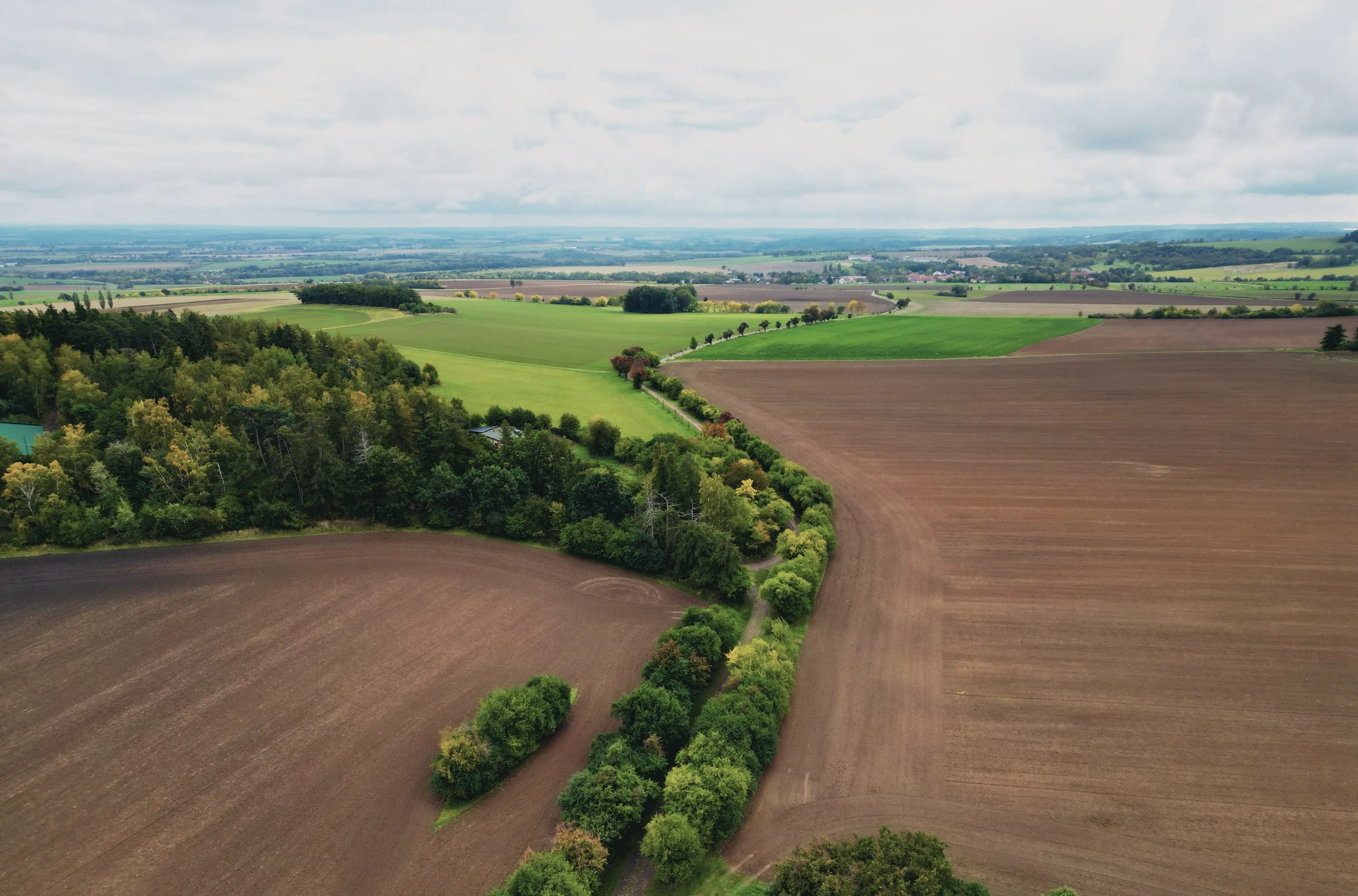Prodej zemědělských pozemků u Kolína