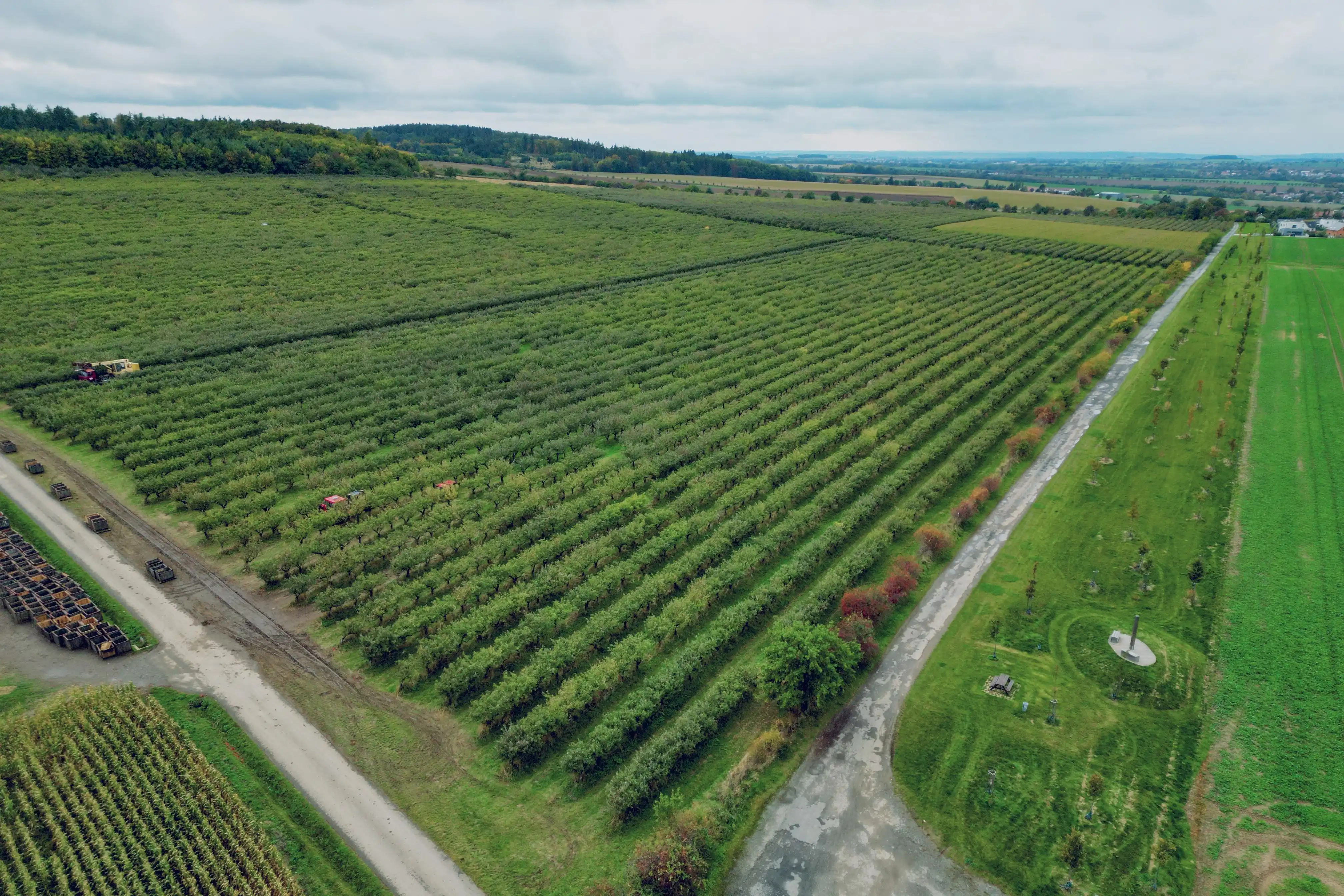 Prodej ovocného sadu u Kolína