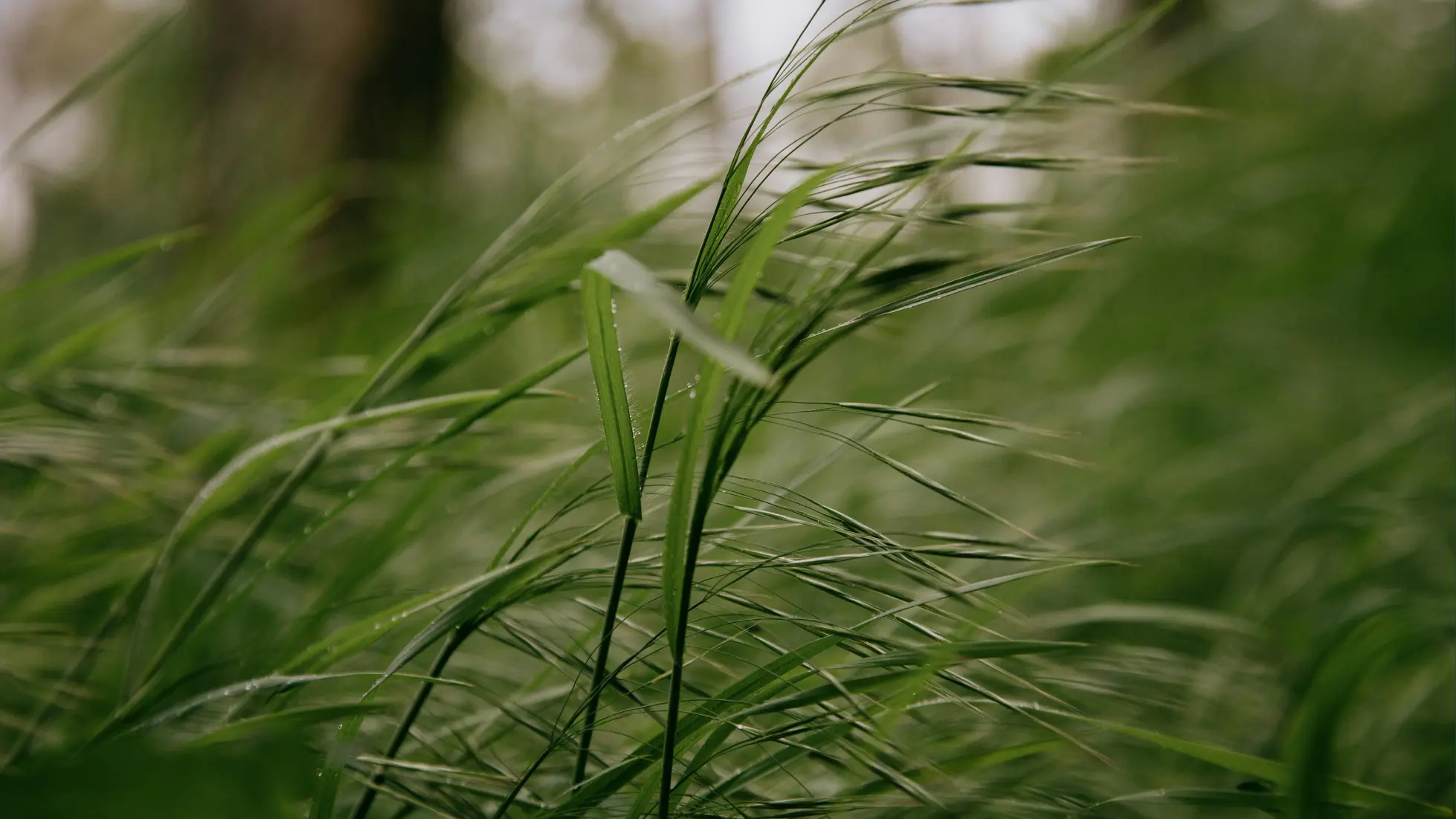 Farmy_Ondrej_stejskal_vykupuje_farmy_louka_pole_odhad_ceny_pudy_vykup_pozemku