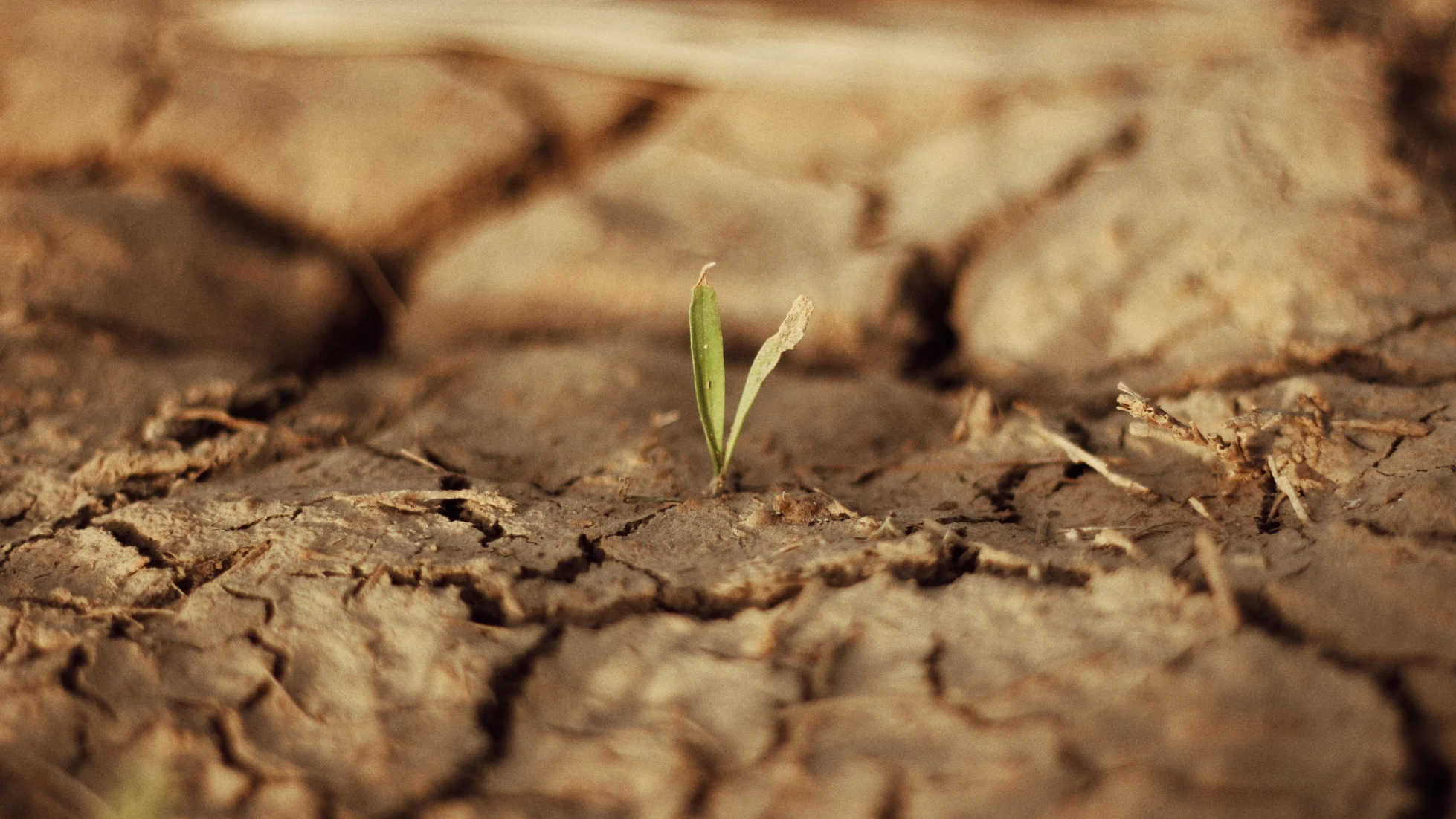 Farmy_stejkal_eroze_povinnosti_prava