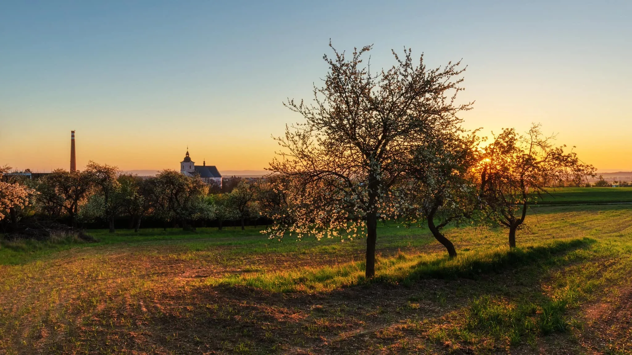 Prodej zemědělského pozemku u Olomouce