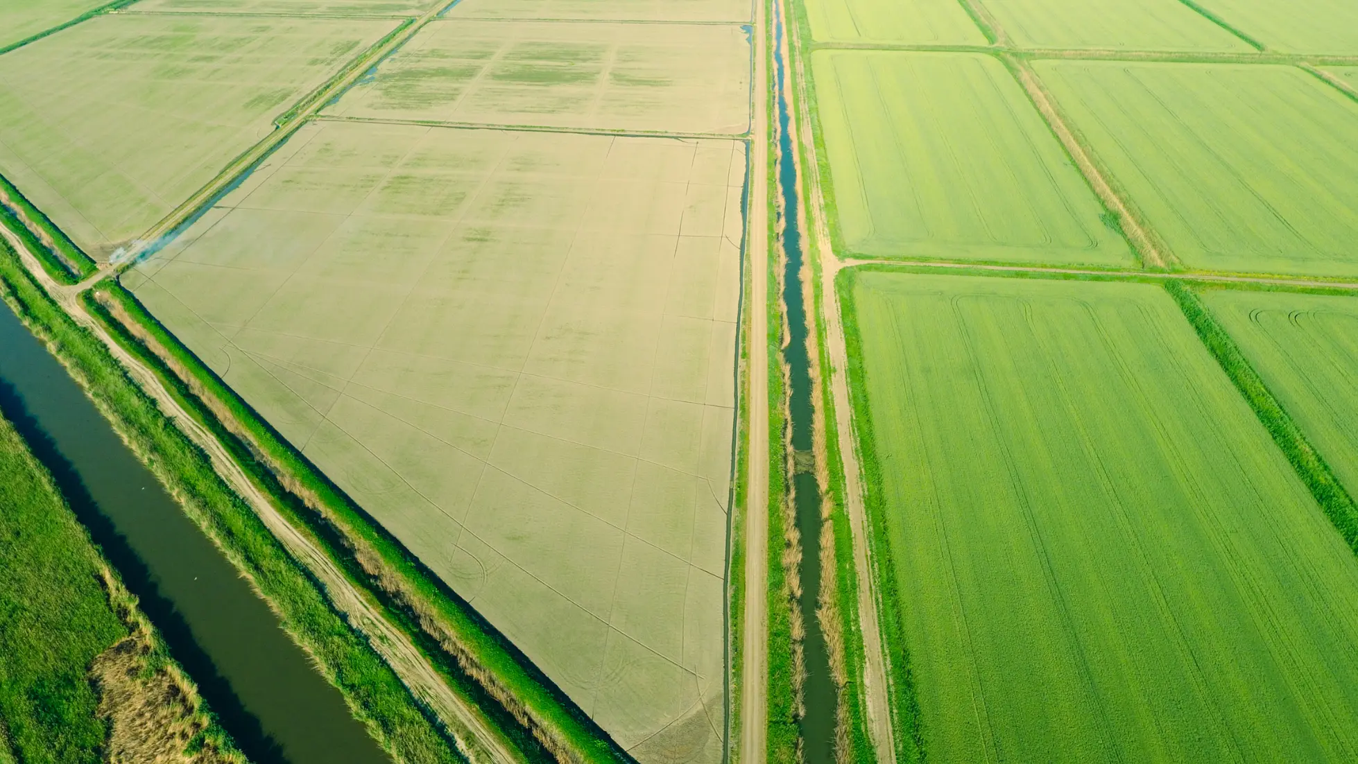 Agrolesnictví_farmy_stejkal_cen_pudy_2026