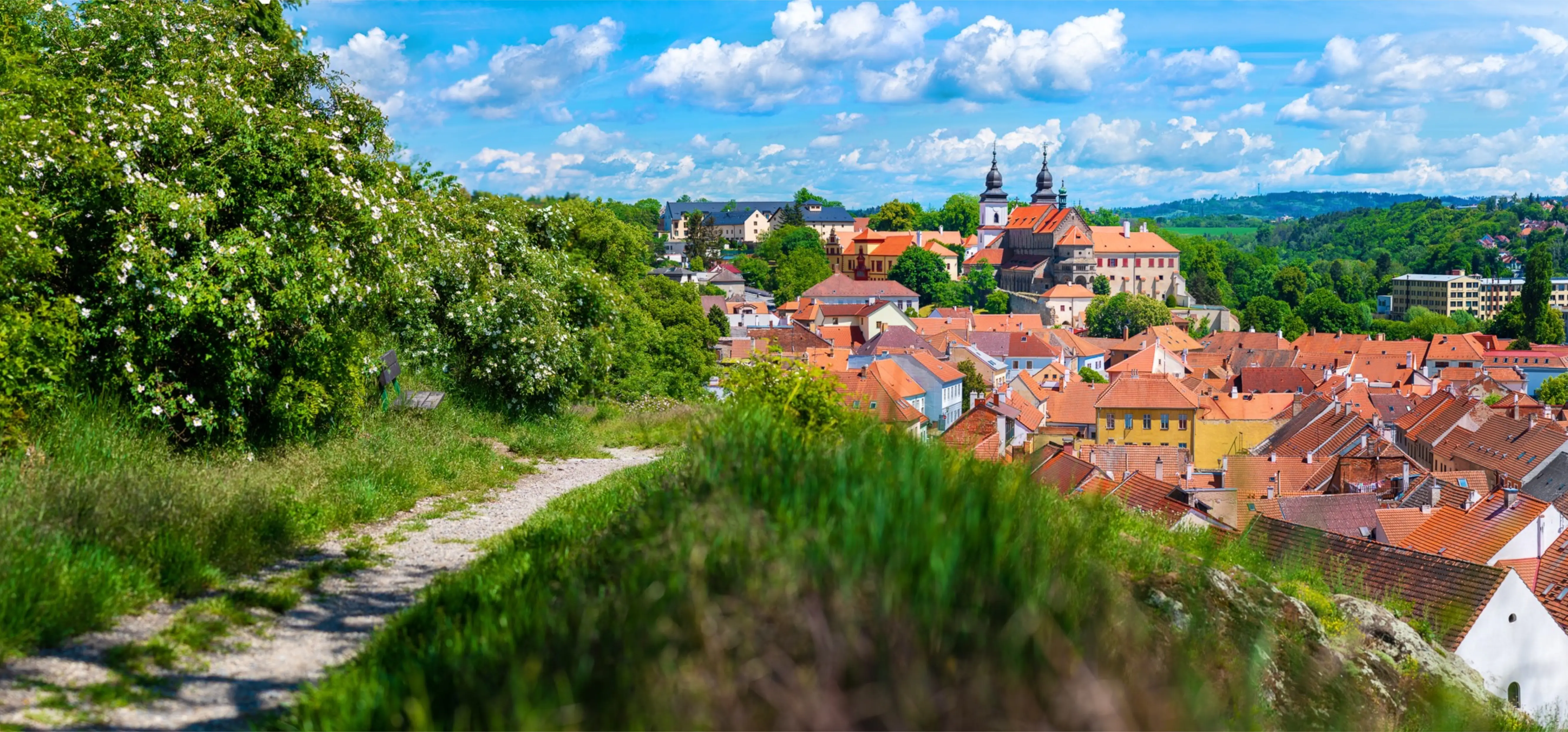 Prodej zemědělských pozemků v Přešovicích